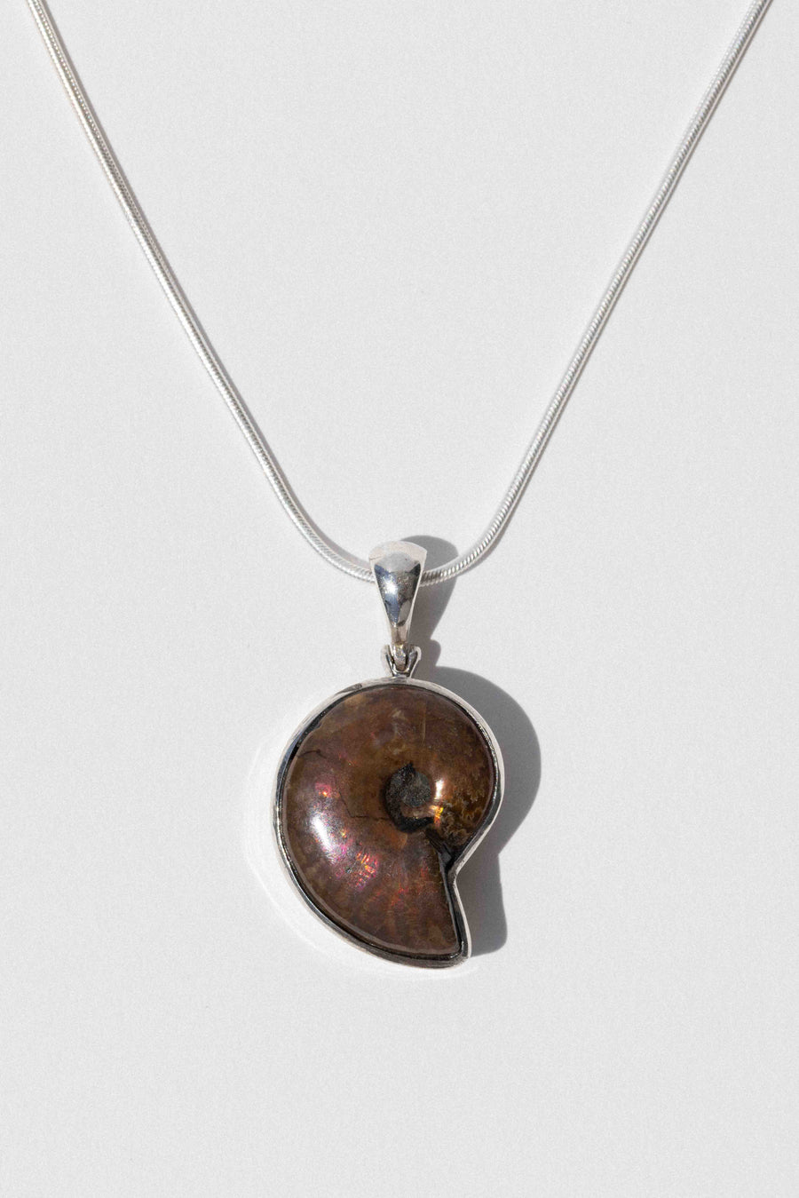 Iridescent Isle Ammonite Necklace